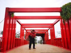 -芒洲湿地公园