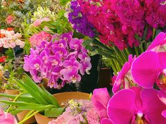 -PlantsEatery·植物食堂(REX春熙店)