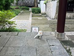 -采石矶景区