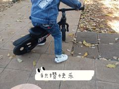 -趣动熊运动发展中心(乐坊校区)