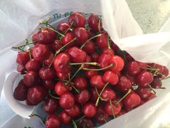 -乐乐鲜果水果超市(河北店)