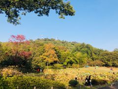 -东湖磨山景区