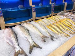 -阳光海鲜城(太仓万达店)