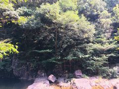 -花岩国家森林公园