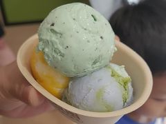 -极拉图·现制冰淇淋(大卫城店)