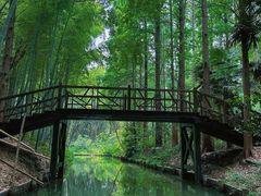 -同里国家湿地公园