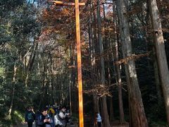 -宋老三苏肉羊肉汤老店