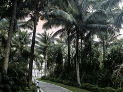 -三亚太阳湾柏悦酒店