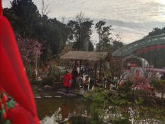 -南山植物园