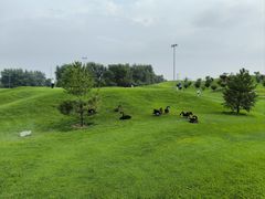 -万柳高尔夫俱乐部