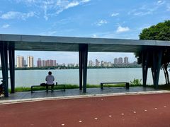 -艾溪湖湿地公园