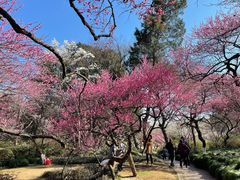 -杭州植物园