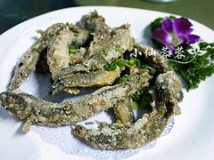 椒盐跳跳鱼-鹰龙海畔度假酒店(咸祥店)
