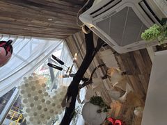 -春树下·树屋花房西餐厅(罍街AS1980店)