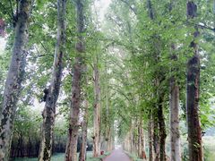 -河南省黄河迎宾馆