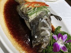 红烧老虎斑-小贝壳酒楼(经九路店)