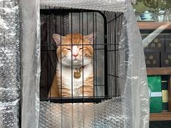 -曼谷食堂·泰国家庭料理(丹桂路店)