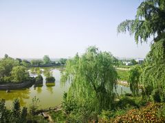 -长安文化生态公园