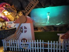 -烟台海昌鲸鲨海洋公园