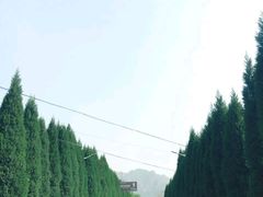 -狼牙山风景区