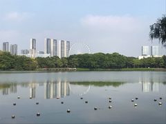 -顺峰山公园