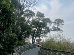 -福道