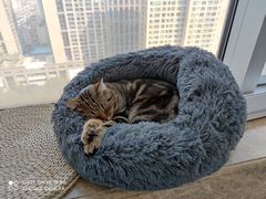-Catmate·猫肥家润(金润铂宫店)