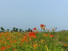-燕儿岛山公园