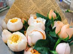 -双季花艺园艺市场(浦东店)
