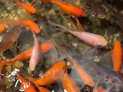 -邈墨茶馆(凤起路店)