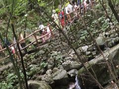 -青峰峡国家森林公园