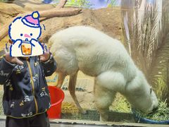 -苏州海洋馆