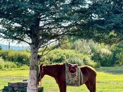 -北极村旅游风景区