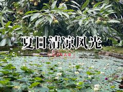 -四海公园(南山区)