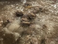 冰煮羊-泽成冰煮羊火锅(中正天街店)