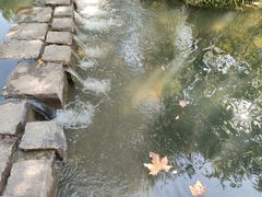 -徐家汇公园