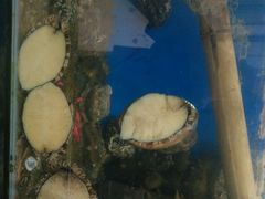 -宾朋海鲜特色美食餐厅·纯手工鲅鱼水饺(兴海路店)