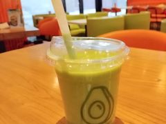 -油梨树 AVOCADO TREE(亮马桥店)