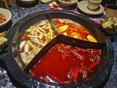 -蜀大侠火锅(四川北路店)