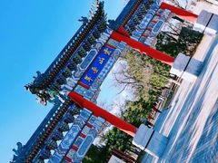 -云岗森林公园
