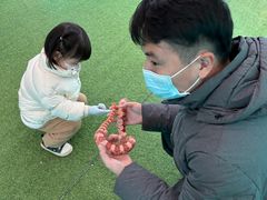 -圣露庄园·亲子活动乐园·露营·团建婚礼