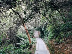 -梧桐山风景名胜区