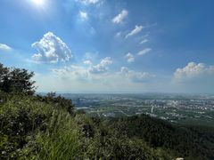 -树山生态村