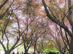 -秦始皇帝陵博物院(兵马俑)