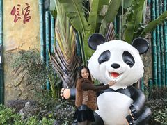 -灵玲国际马戏城
