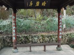 -杭州半山国家森林公园