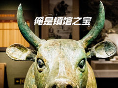 -宁夏博物馆