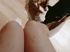 -柴犬小屋·柴餐厅·狗咖食堂(金鼎广场店)