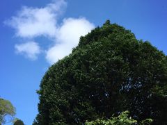 -乌鲁淡布隆国家公园