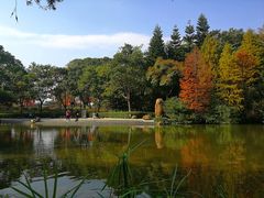 -云溪植物园